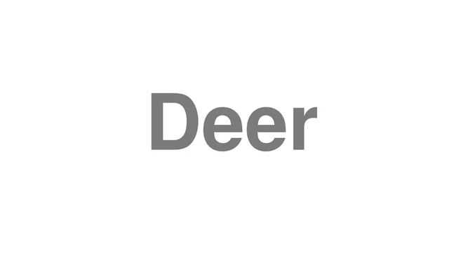 How to Pronounce Deer