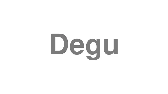 How to Pronounce Degu
