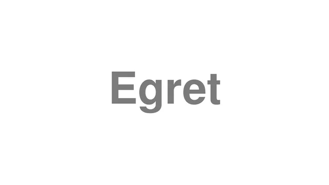 How to Pronounce Egret