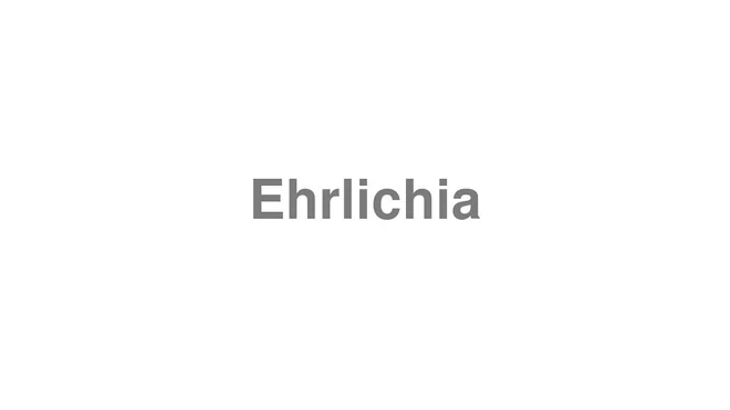 How to Pronounce Ehrlichia