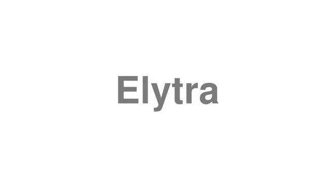 How to Pronounce Elytra