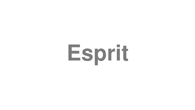 How to Pronounce Esprit