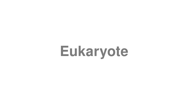 How to Pronounce Eukaryote