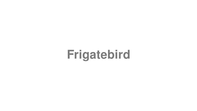 How to Pronounce Frigatebird