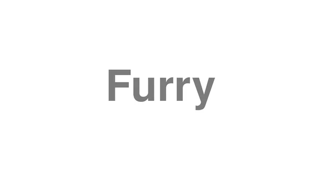 How to Pronounce Furry