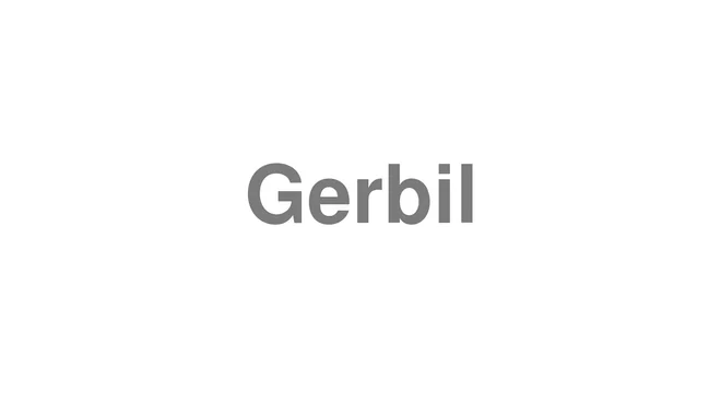 How to Pronounce Gerbil