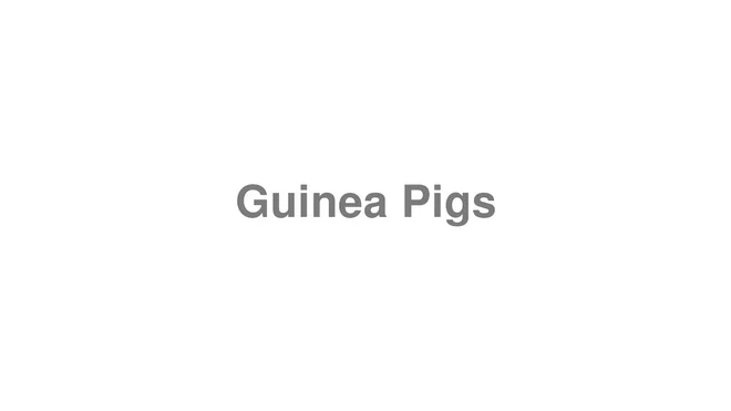 How to Pronounce Guinea Pigs