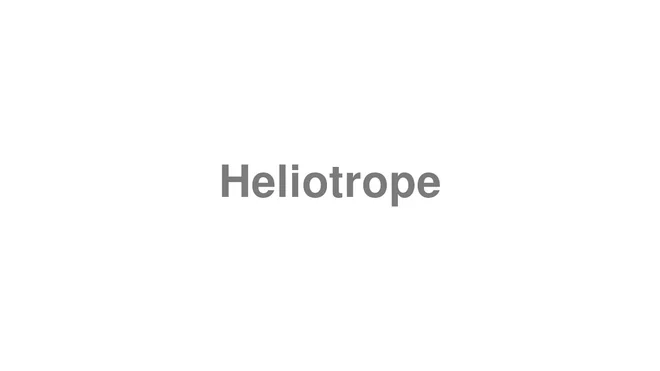 How to Pronounce Heliotrope