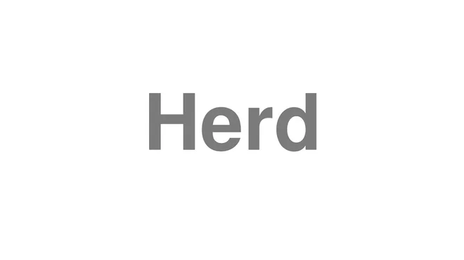 How to Pronounce Herd