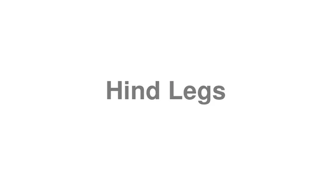 How to Pronounce Hind Legs