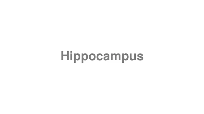 How to Pronounce Hippocampus