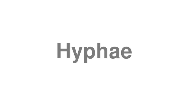 How to Pronounce Hyphae