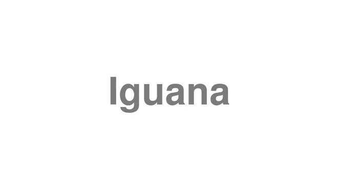 How to Pronounce Iguana