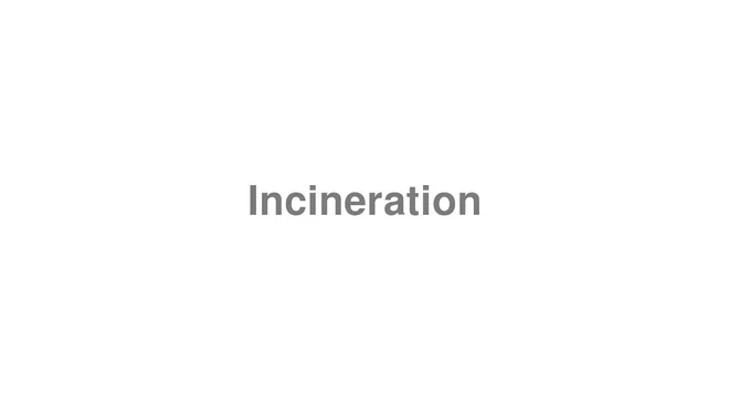 How to Pronounce Incineration