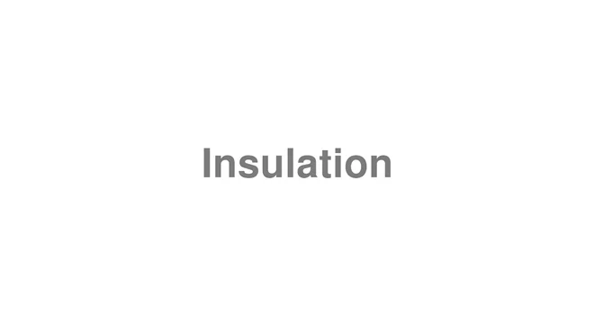 How to Pronounce Insulation