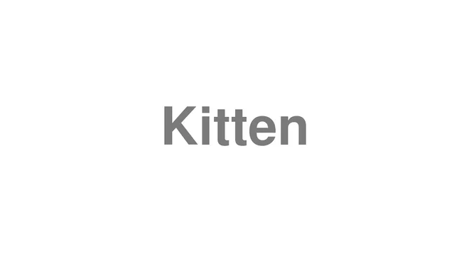 How to Pronounce Kitten