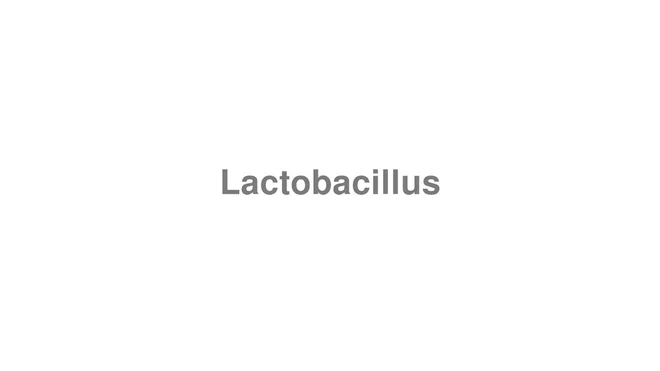 How to Pronounce Lactobacillus
