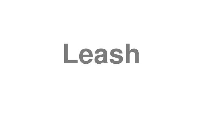 How to Pronounce Leash
