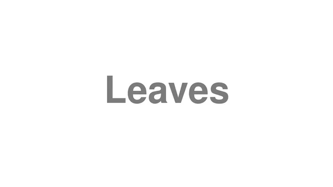 How to Pronounce Leaves