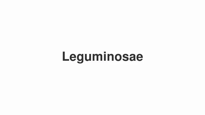 How to Pronounce Leguminosae
