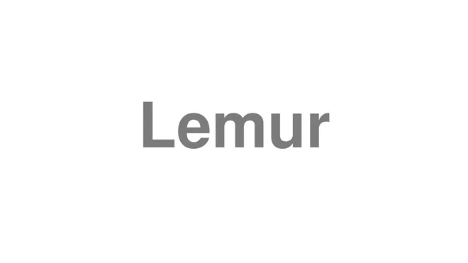 How to Pronounce Lemur