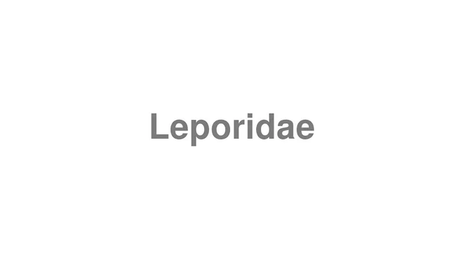 How to Pronounce Leporidae