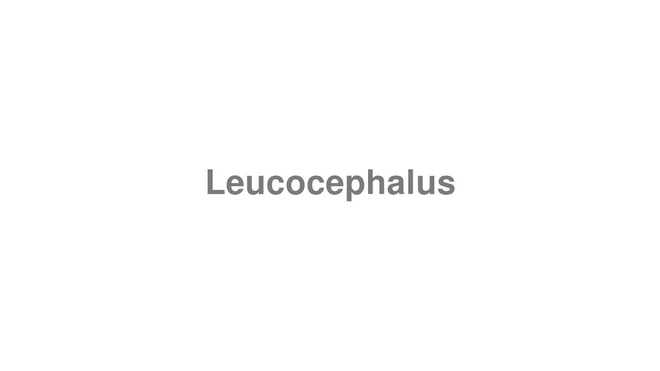 How to Pronounce Leucocephalus