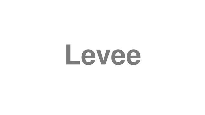 How to Pronounce Levee