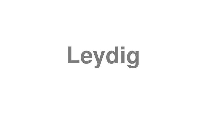 How to Pronounce Leydig