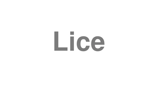 How to Pronounce Lice