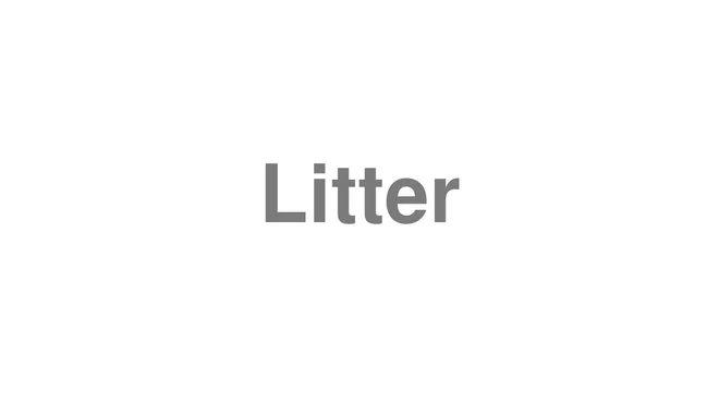 How to Pronounce Litter