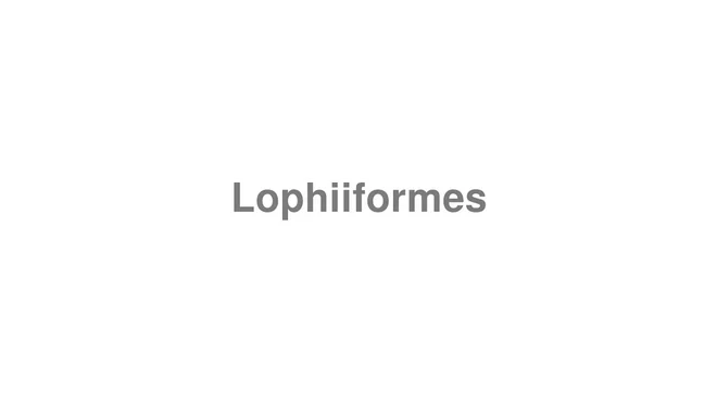 How to Pronounce Lophiiformes