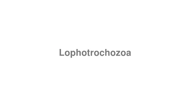 How to Pronounce Lophotrochozoa