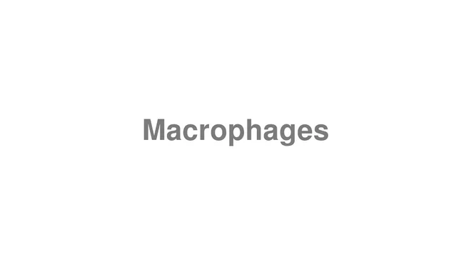 How to Pronounce Macrophages
