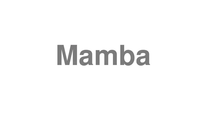 How to Pronounce Mamba