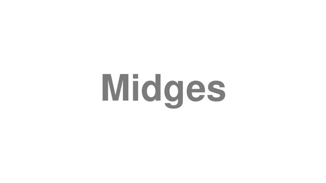 How to Pronounce Midges