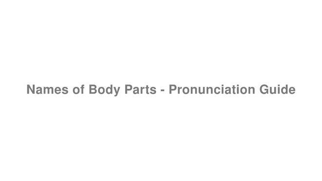How to Pronounce Names of Body Parts - Pronunciation Guide