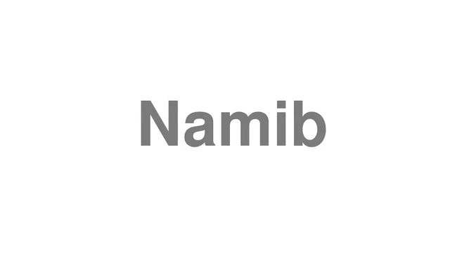 How to Pronounce Namib