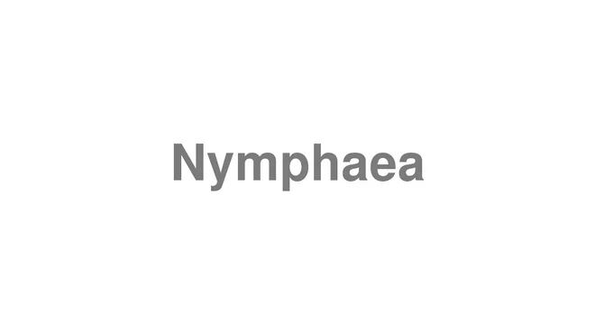 How to Pronounce Nymphaea
