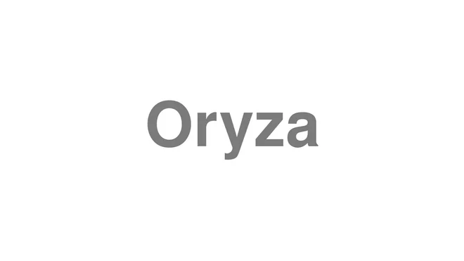How to Pronounce Oryza