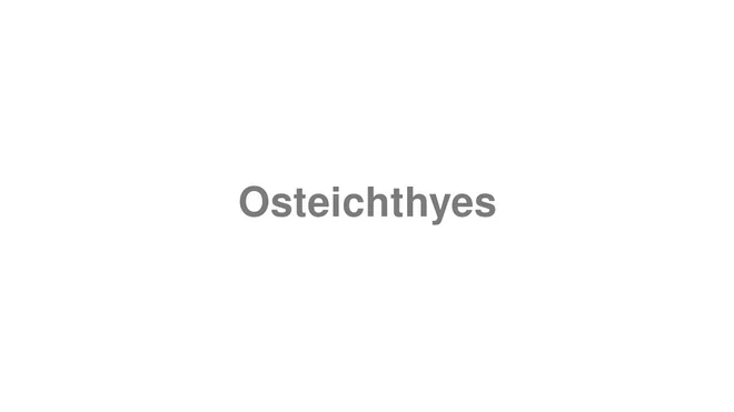 How to Pronounce Osteichthyes