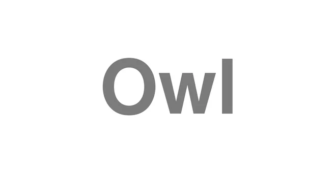 How to Pronounce Owl