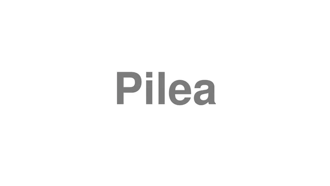 How to Pronounce Pilea