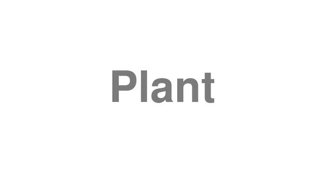 How to Pronounce Plant