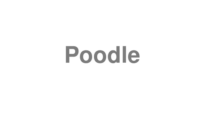 How to Pronounce Poodle