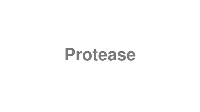 How to Pronounce Protease