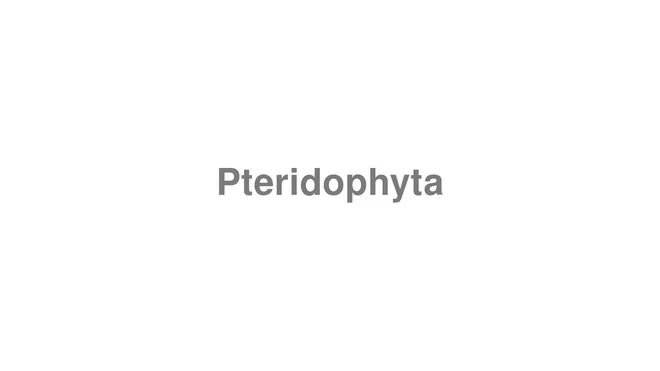 How to Pronounce Pteridophyta