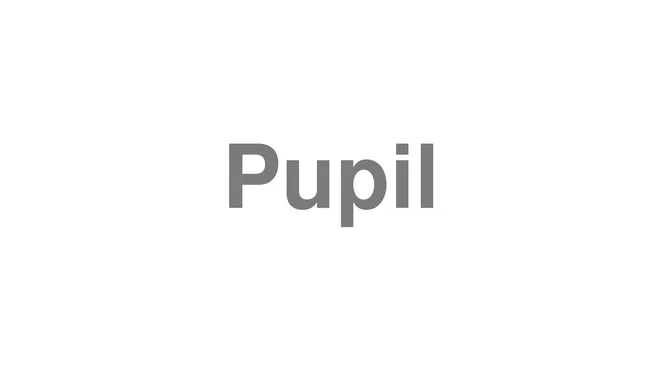 How to Pronounce Pupil