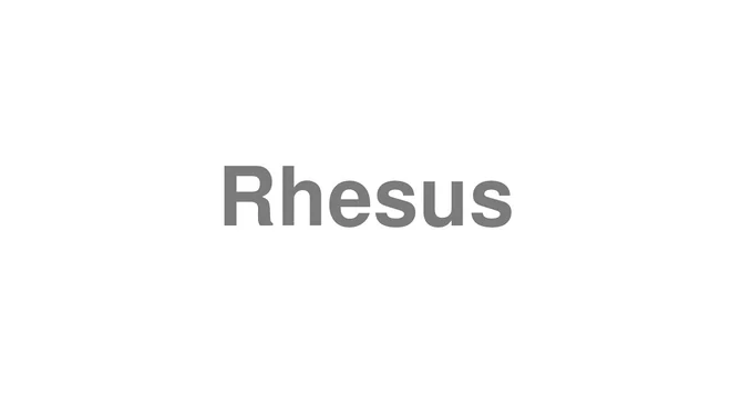 How to Pronounce Rhesus