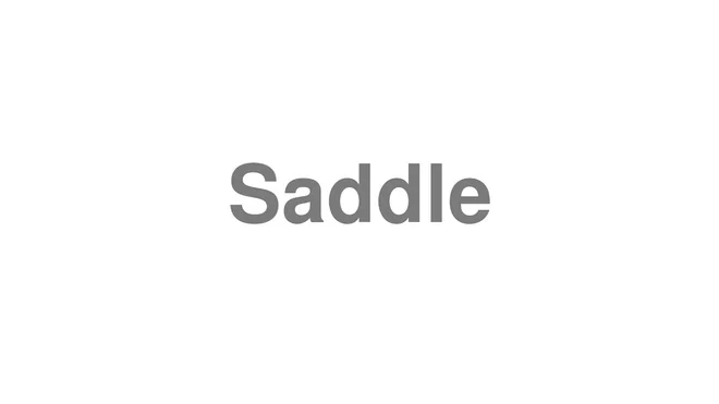 How to Pronounce Saddle